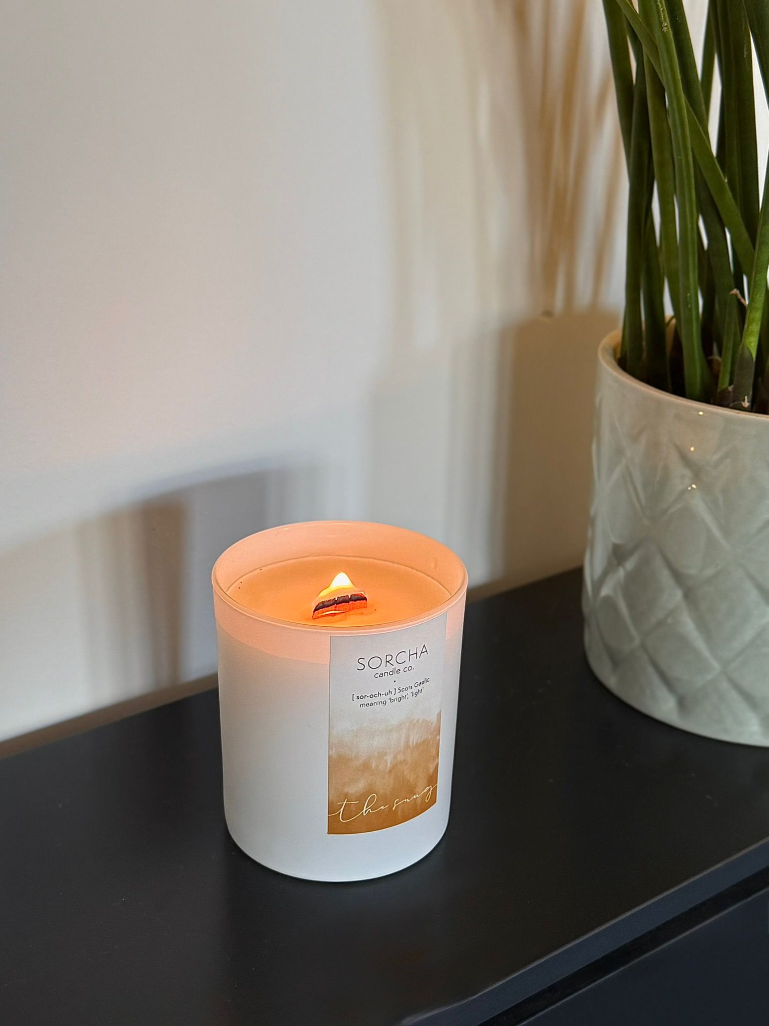 Behind the scenes social content